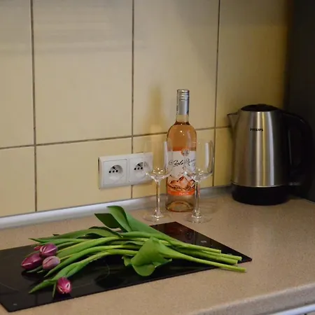 Pod Brzozami Chrobrego 53c Apartamento